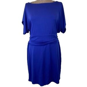 NEW Ann Taylor Petites Blue Dolman Stretch Rouched Waist Dress Petite Large